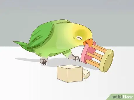 Успокойте птицу Шаг 2