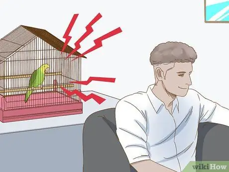 Успокойте птицу Шаг 3