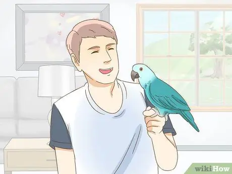 Успокойте птицу Шаг 7