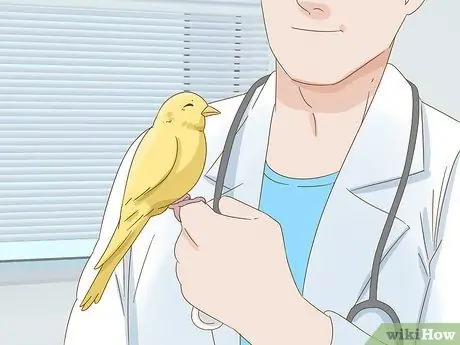 Успокойте птицу Шаг 9