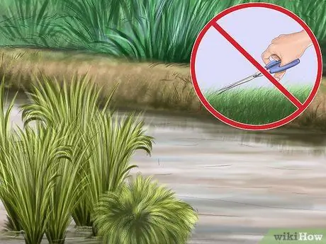 Привлечь уток Шаг 11