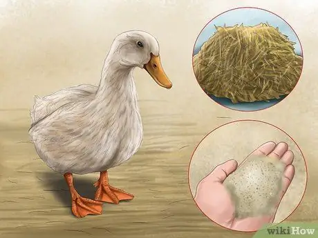 Привлечь уток Шаг 14