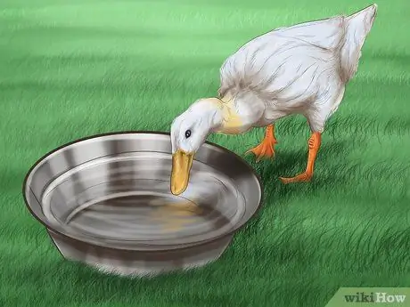 Привлечь уток Шаг 6