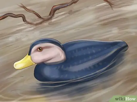 Привлечь уток Шаг 9