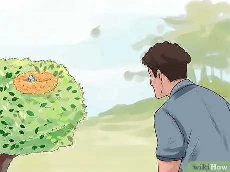 Выращивание птенцов Шаг 12