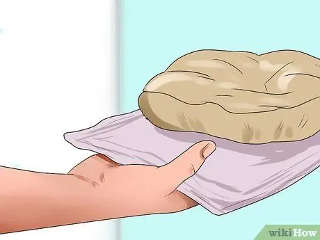 Выращивание птенцов Шаг 14