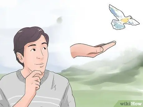 Поднять птенцов Шаг 17