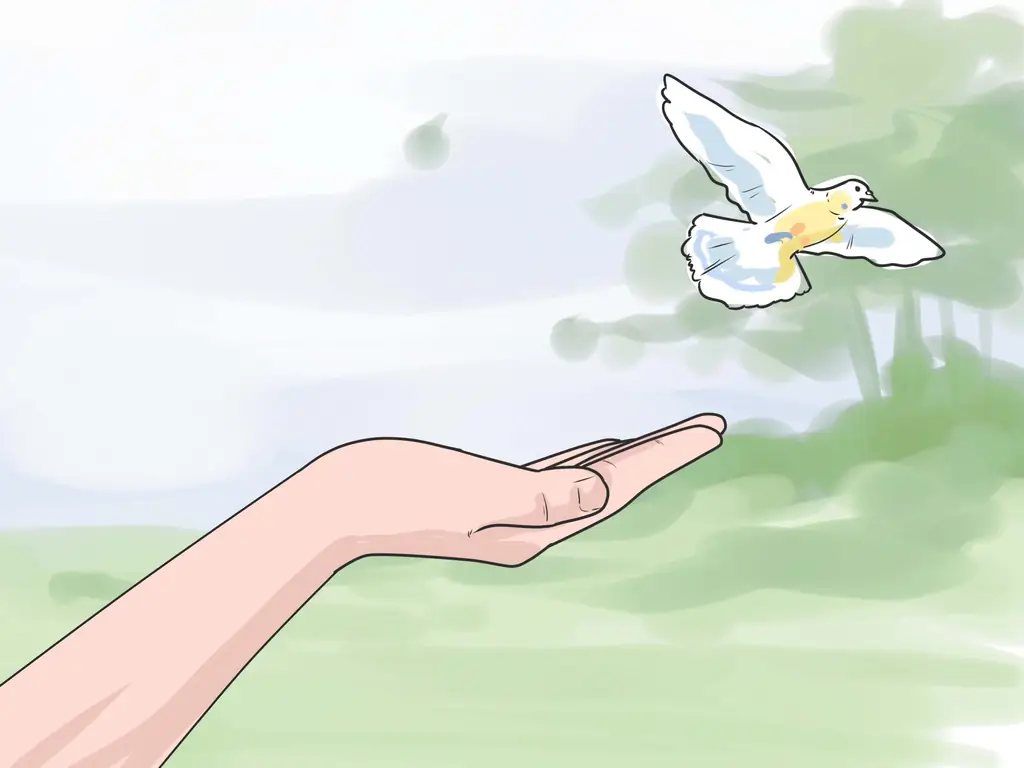 Как вырастить птенцов (с иллюстрациями)