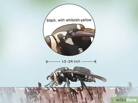 Определить ос, шаг 7