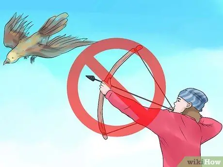 Сделайте естественный лук и стрелу. Шаг 16