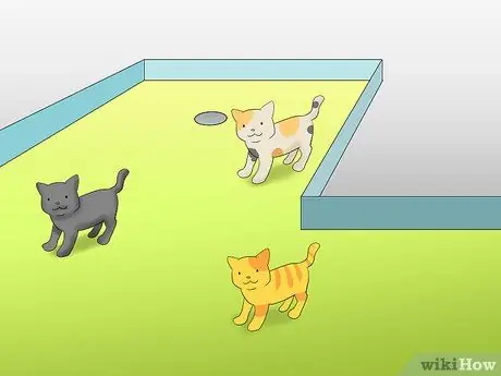 Сделайте поле для мини-гольфа Шаг 4