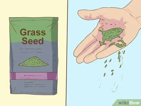 Сделайте ставку на зеленый Шаг 11