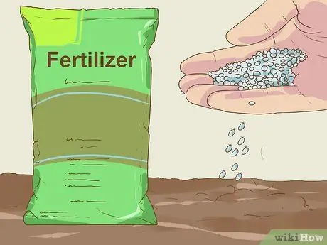 Сделайте шаг 12