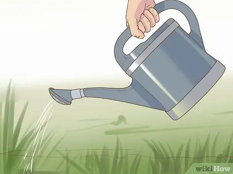 Сделайте ставку на зеленый шаг 13