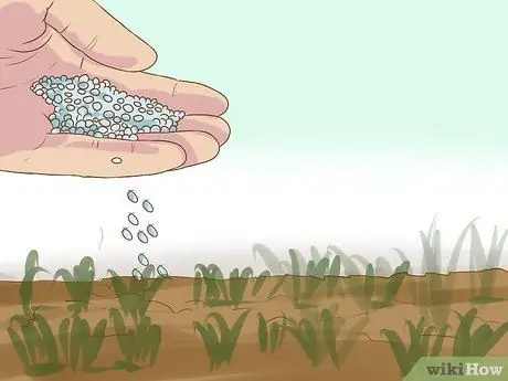 Сделайте шаг 15