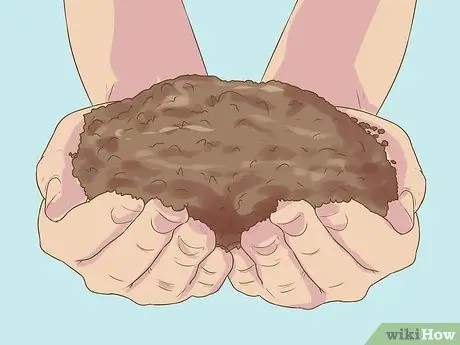 Сделайте зеленый шаг, шаг 2