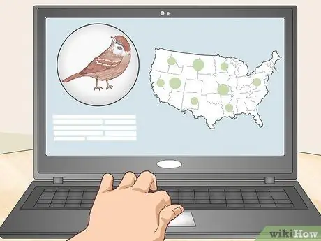 Привлечь воробьев Шаг 1