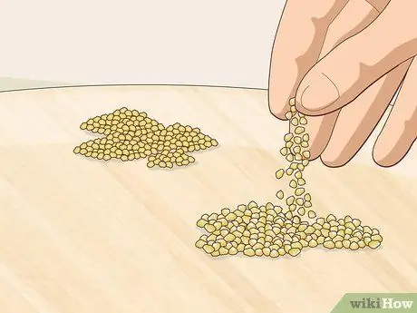 Привлечь воробьев Шаг 2