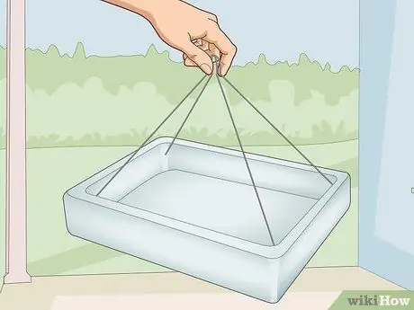 Привлечь воробьев Шаг 4