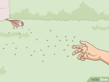 Привлечь воробьев Шаг 6