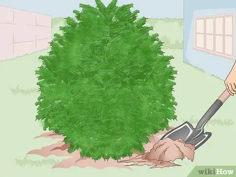 Привлечь воробьев Шаг 7