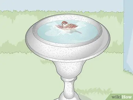 Привлечь воробьев Шаг 8