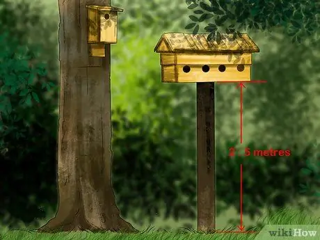 Привлечение сипух, шаг 2