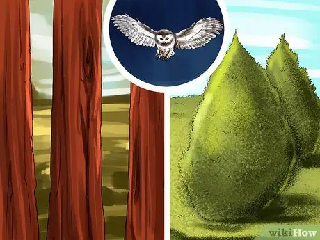 Привлечение сипух Шаг 4