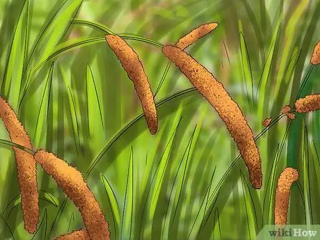 Привлечение сипух Шаг 6