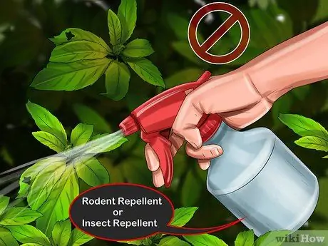 Привлечение сипух Шаг 7