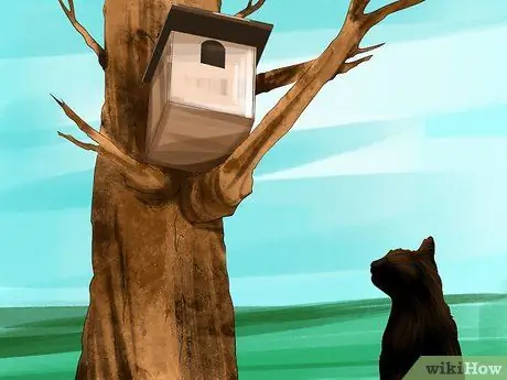 Привлечение сипух Шаг 9