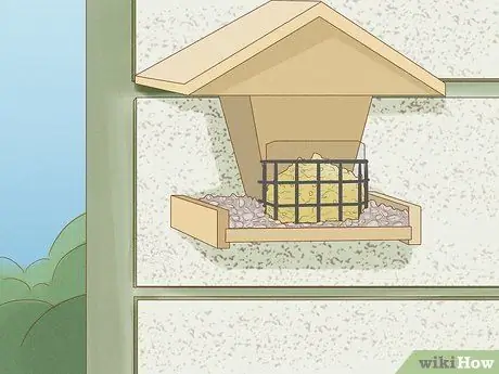 Привлечь Блю Джейс Шаг 2