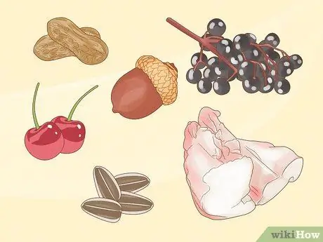 Привлечь Блю Джейс Шаг 4