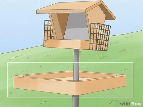 Привлечь Блю Джейс Шаг 5