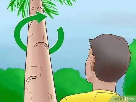 Забраться на дерево без веток Шаг 1