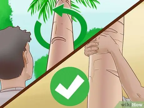 Забраться на дерево без веток Шаг 10