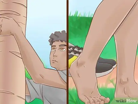 Взобраться на дерево без веток Шаг 11