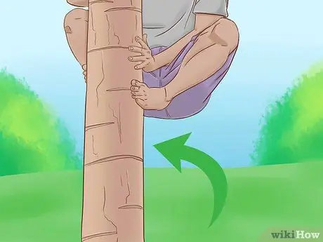 Забраться на дерево без веток Шаг 12