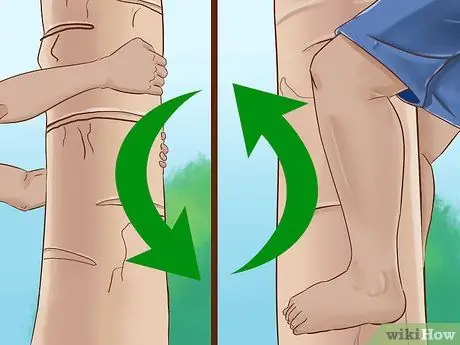 Взобраться на дерево без веток Шаг 15