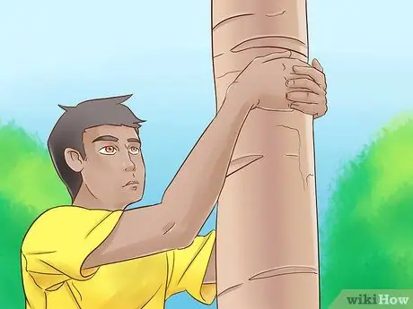 Забраться на дерево без веток Шаг 3