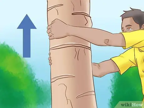 Забраться на дерево без веток Шаг 7