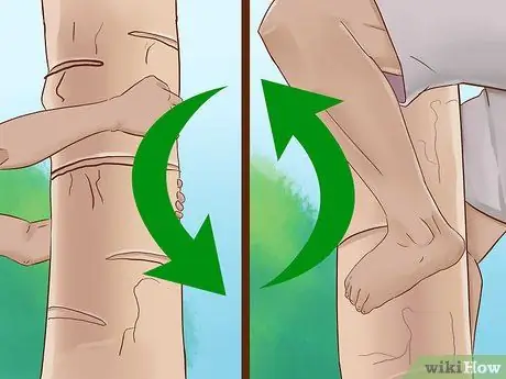 Забраться на дерево без веток Шаг 8