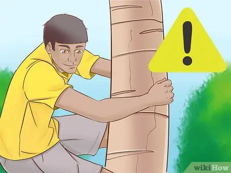 Забраться на дерево без веток Шаг 9