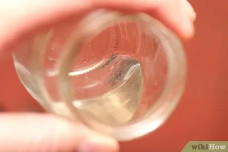 Проверьте содержание пектина во фруктах Шаг 4