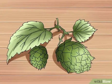 Сварить пиво из цельнозерновых продуктов Шаг 8