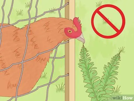 Обустрой курятник Шаг 8