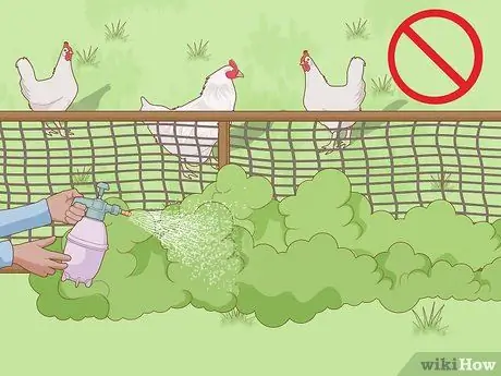 Обустрой курятник Шаг 9