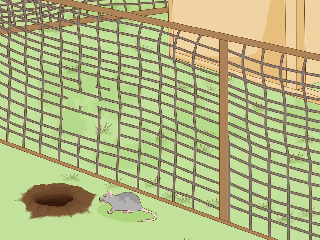 3 способа устроить курятник