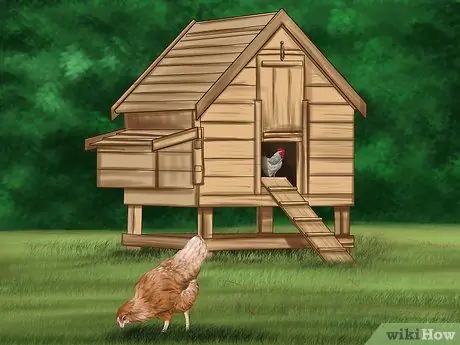Постройте огород, подходящий для кур, шаг 12