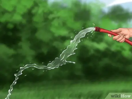 Постройте сад, подходящий для кур, шаг 13